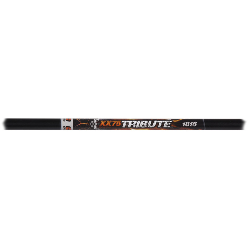 Easton Arrow Aluminum XX75 Tribute