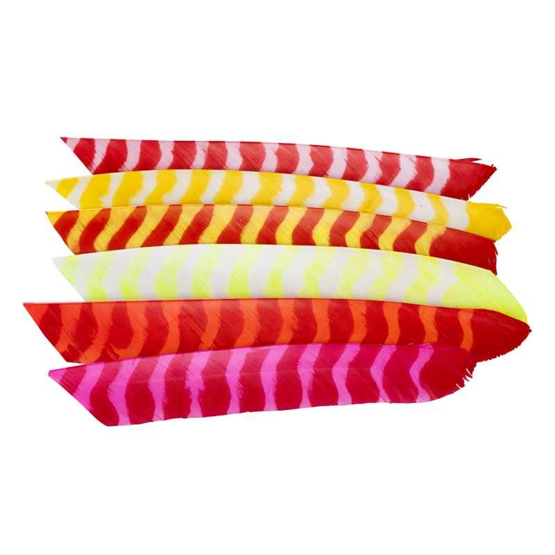 Trueflight Feathers 4" Shield Bright Stripes RW