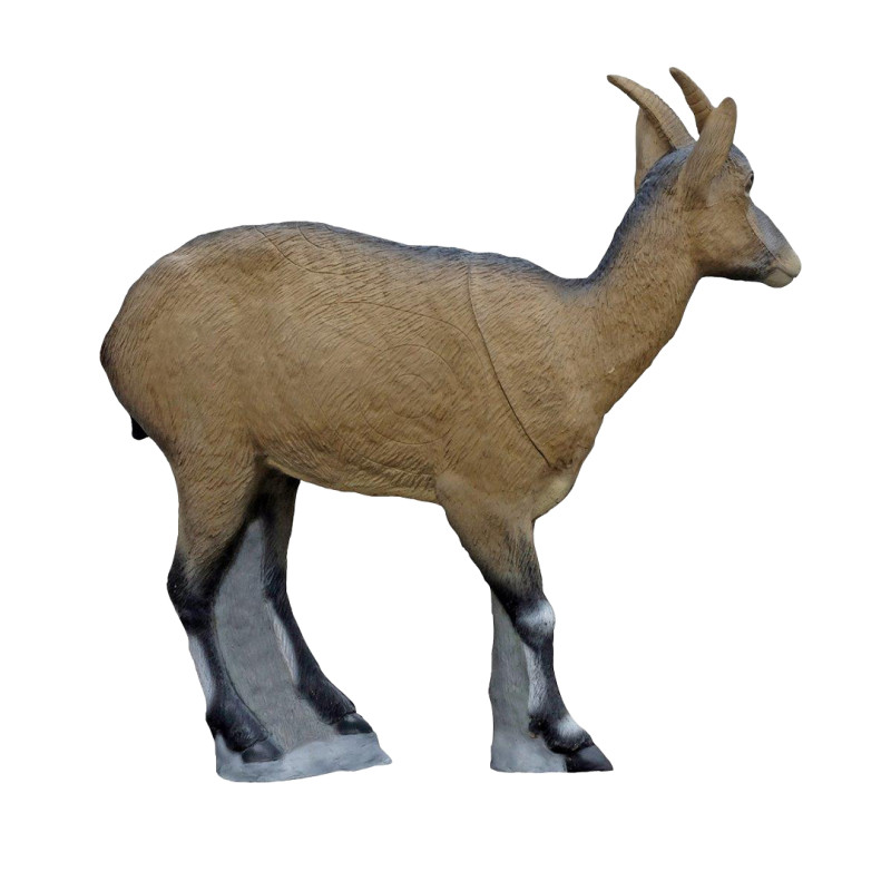 SRT Target 3D Iberian Ibex Female