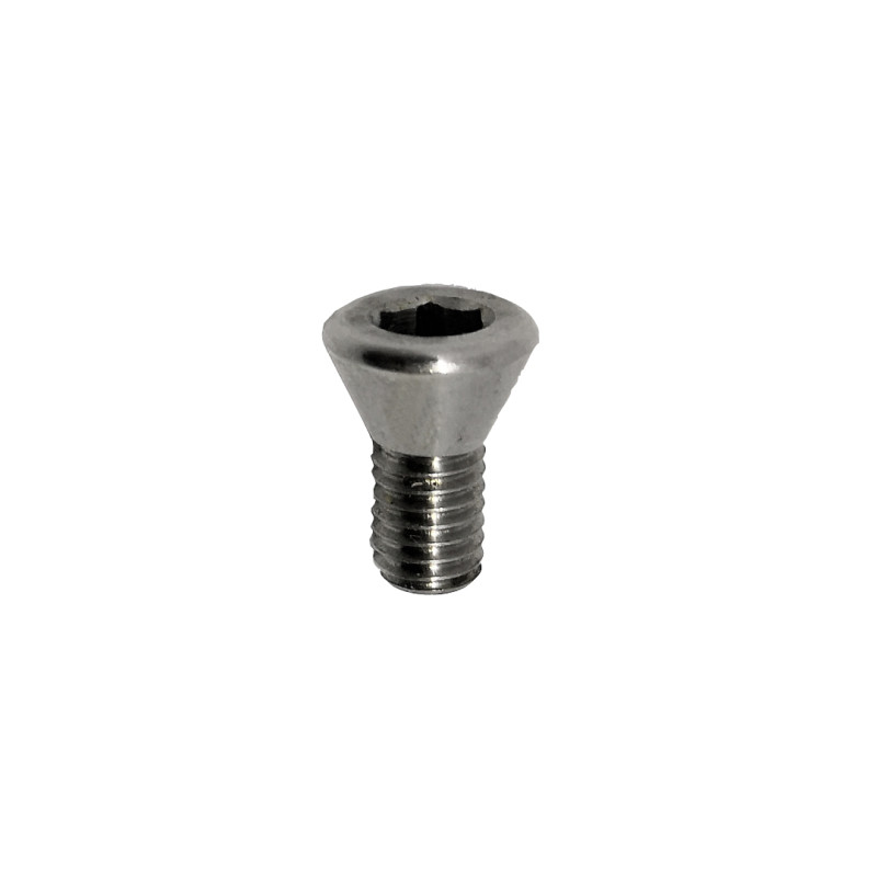 Gillo Limb Bolt Locking Screw Stainless Steel 15 mm