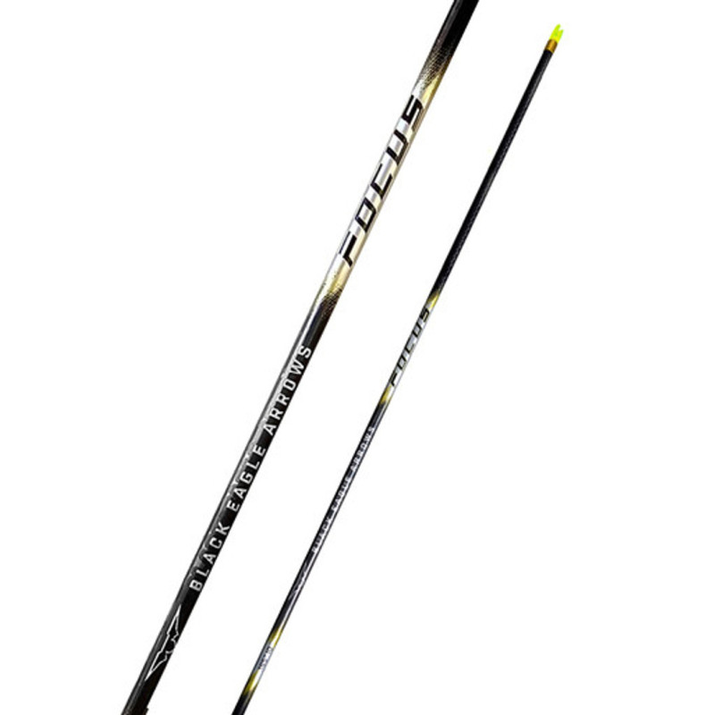 Black Eagle Shaft FOCUS .001" 250