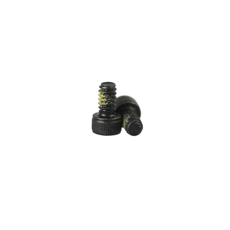 Hoyt Module Screw Z5 & SVX