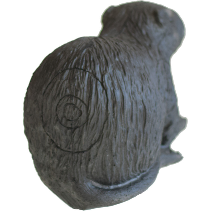 Eleven Target 3D Nutria