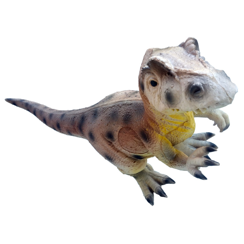 Eleven 3D Target Allosaurus with insert