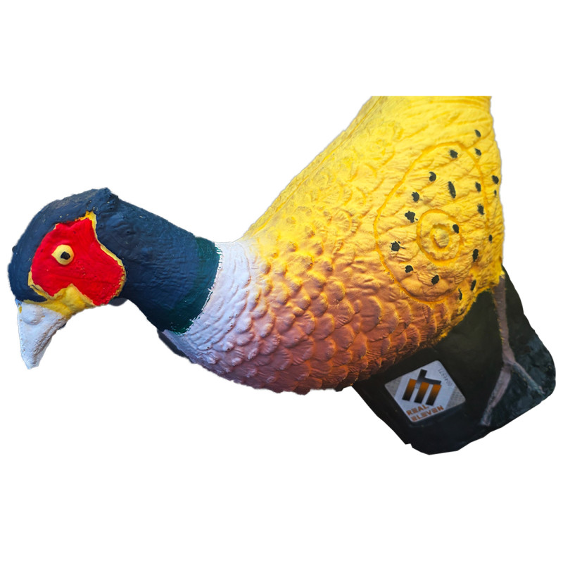 Eleven 3D Target Golden Pheasant
