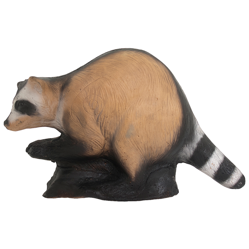 WILD LIFE 3D TARGET RACCOON / PROCIONE - DIM:42x58x30CM GROUP 4