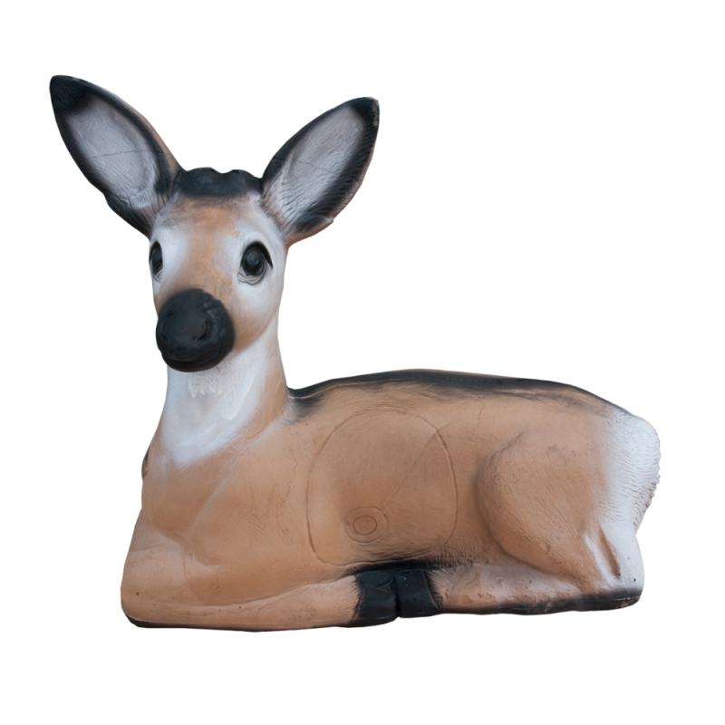 WILD LIFE 3D TARGET ROEDEER BEDDED - DIM:53x61x25CM GROUP 3