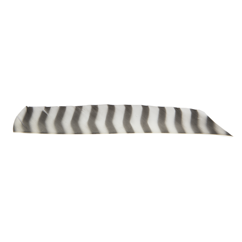 FEATHERS FULL LENGTH RW BARRED WHITE 100/PK
