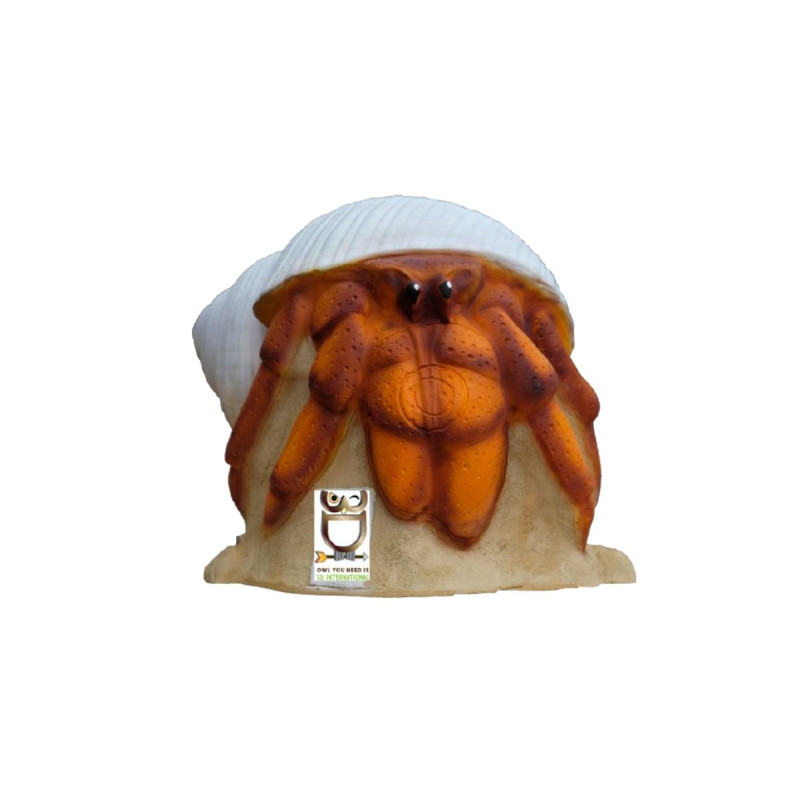 3D INTERNATIONAL 3D HERMIT CRAB