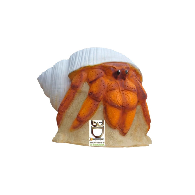 3D INTERNATIONAL 3D HERMIT CRAB