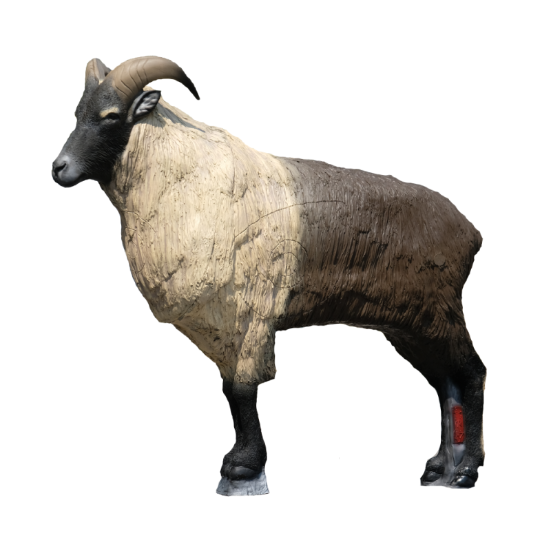 SRT 3D TARGET HIMALAYAN TAHR - GROUP 1 - L133cm H113cm