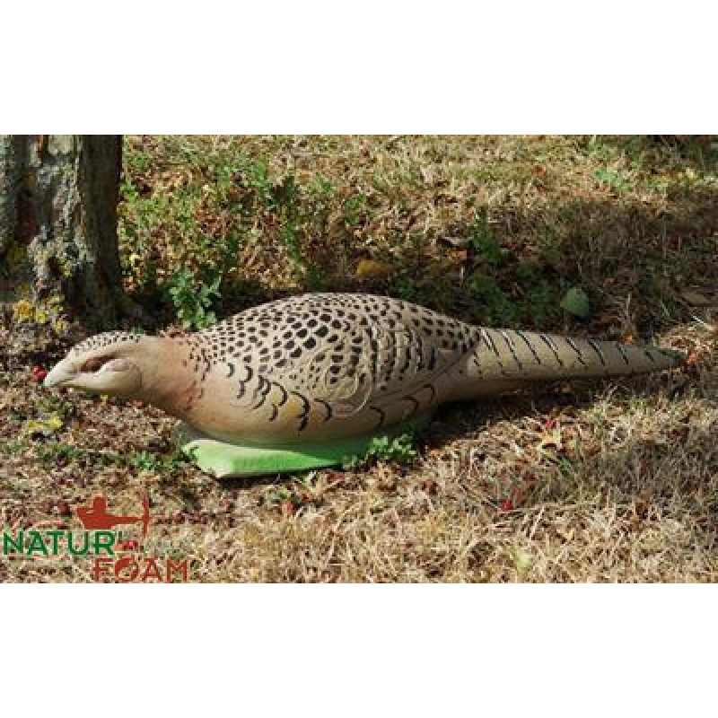 NATUR FOAM 3D TARGET PHEASANT - HEN