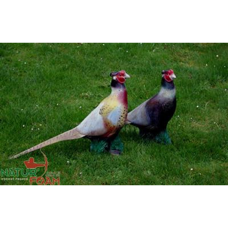 NATUR FOAM 3D TARGET PHEASANT