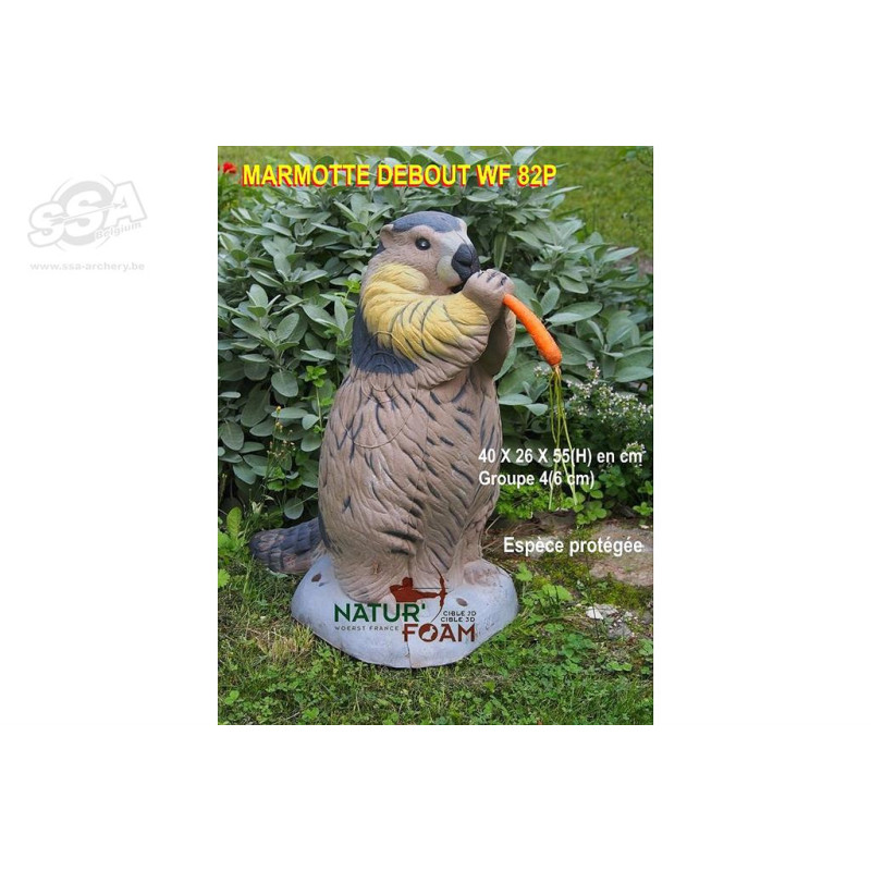 NATUR FOAM 3D TARGET MARMOTTE - STANDING