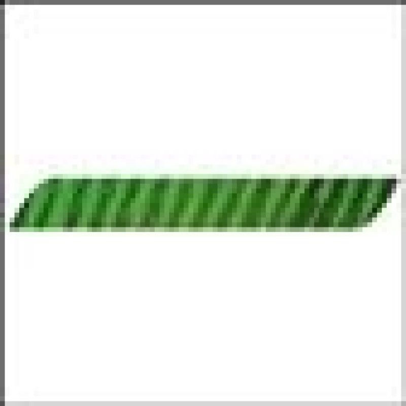 GATEWAYFEATHERS FEATHERS FULL LENGTH FL RW BARRED CHARTREUSE 100/PK
