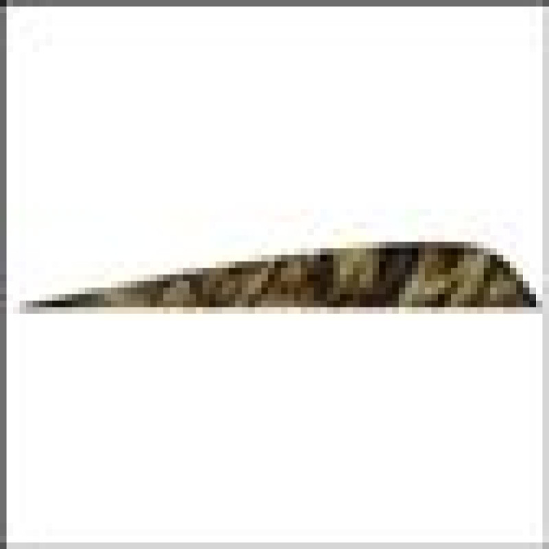 GATEWAYFEATHERS FEATHERS ROUND 4" LW CAMO TRE BROWN 100/PK