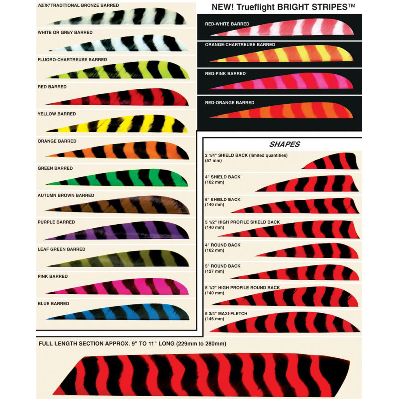 TRUEFLIGHT FEATHERS SHIELD 4" RW BARRED LEAF GREEN 100/PK