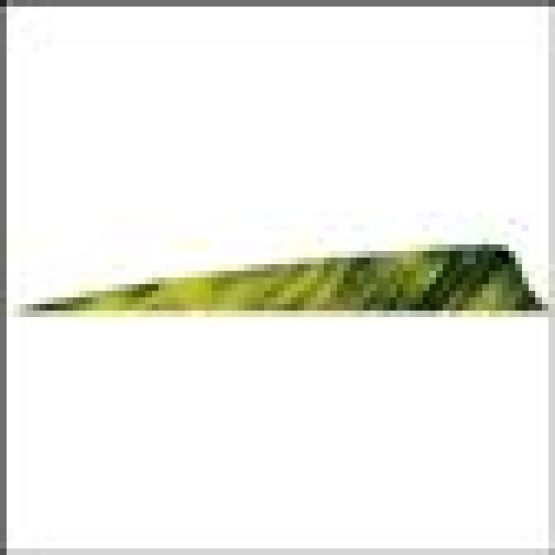 GATEWAYFEATHERS FEATHERS SHIELD 4" LW CAMO TRE YELLOW 100/PK