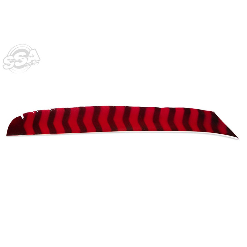 BUCKTRAIL FEATHERS FULL LENGTH LW BARRED RED 100/PK