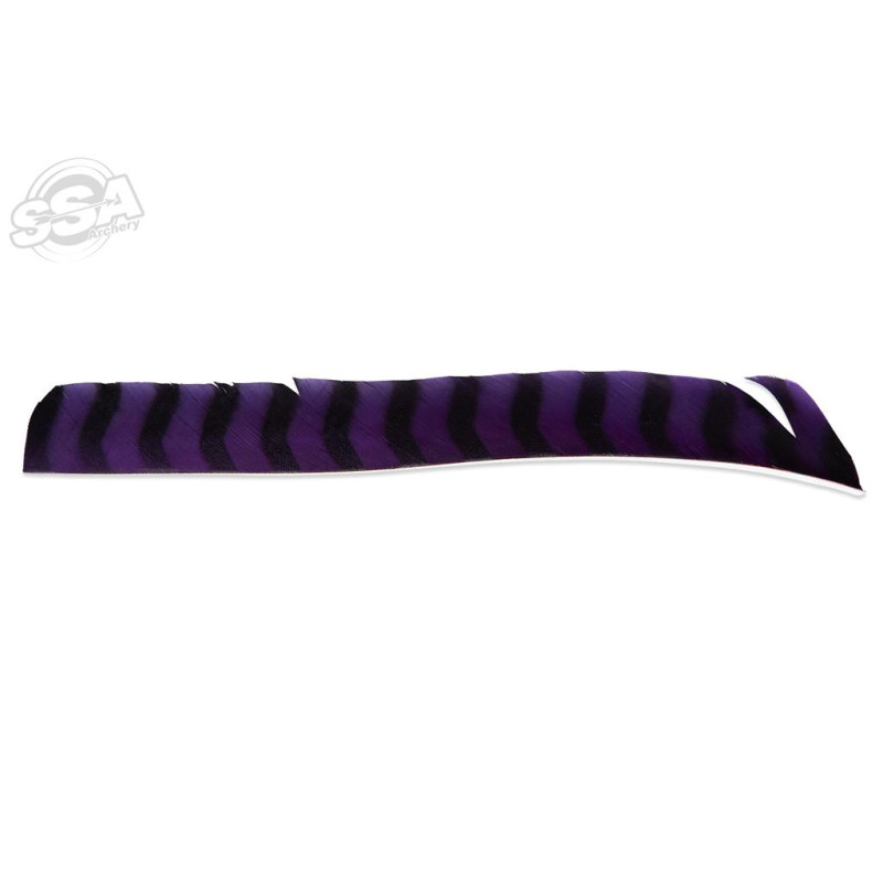BUCKTRAIL FEATHERS FULL LENGTH LW BARRED PURPLE 100/PK