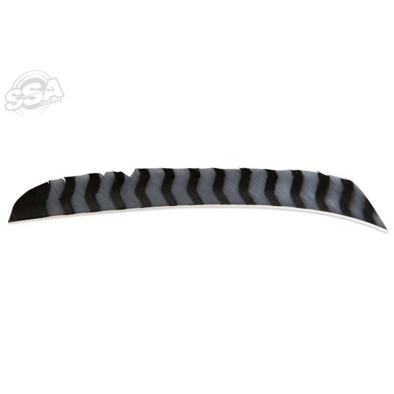 BUCKTRAIL FEATHERS FULL LENGTH LW BARRED SILVER 100/PK