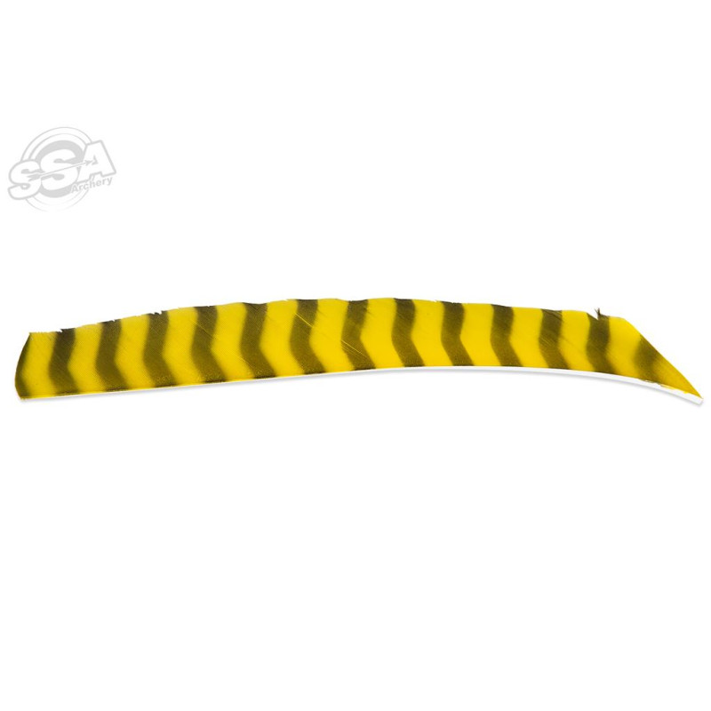 BUCKTRAIL FEATHERS FULL LENGTH RW BARRED YELLOW 100/PK