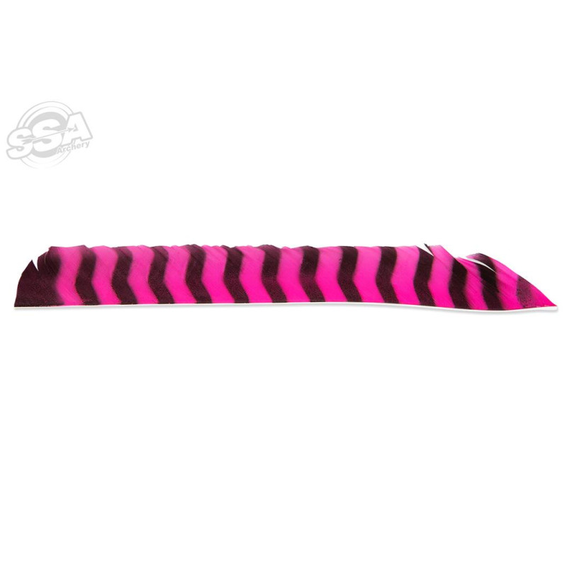 BUCKTRAIL FEATHERS FULL LENGTH RW BARRED PINK 100/PK