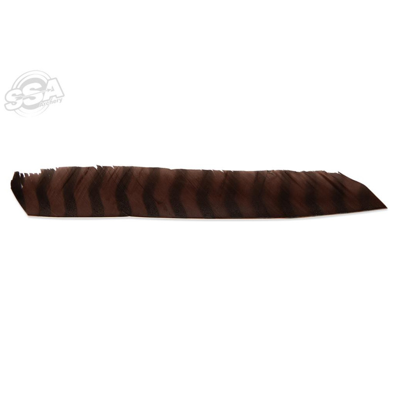 BUCKTRAIL FEATHERS FULL LENGTH RW BARRED BROWN 100/PK