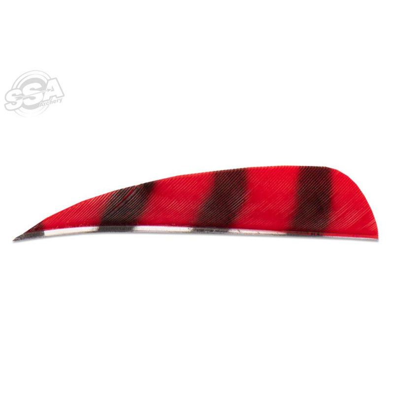 BUCKTRAIL FEATHERS ROUND 3" RW BARRED RED 100/PK