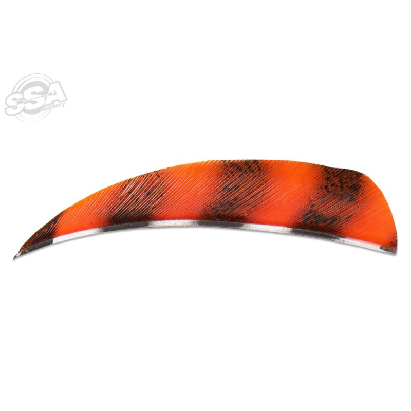 BUCKTRAIL FEATHERS ROUND 3" RW BARRED ORANGE 100/PK