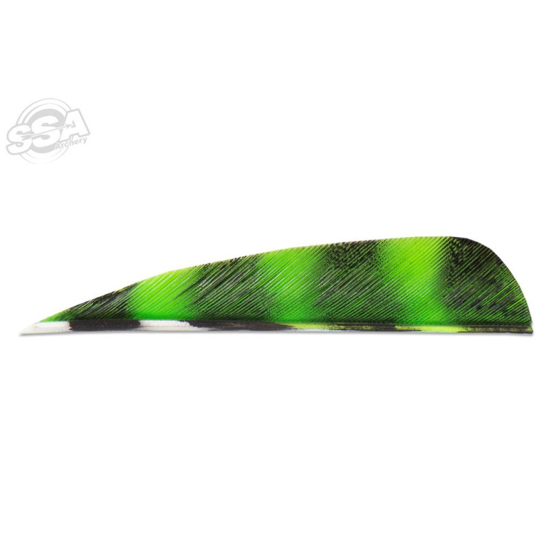 BUCKTRAIL FEATHERS ROUND 3" RW BARRED LEMON 100/PK