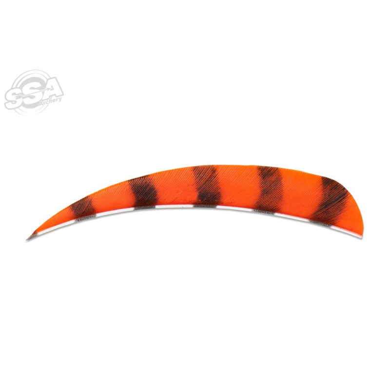 BUCKTRAIL FEATHERS ROUND 4" RW BARRED ORANGE 100/PK