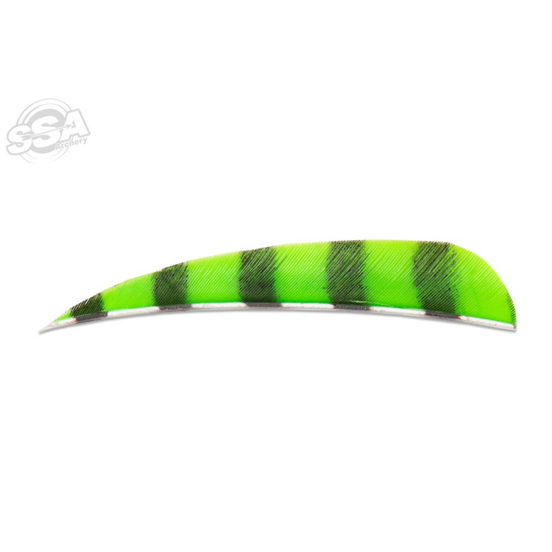BUCKTRAIL FEATHERS ROUND 4" RW BARRED LEMON 100/PK