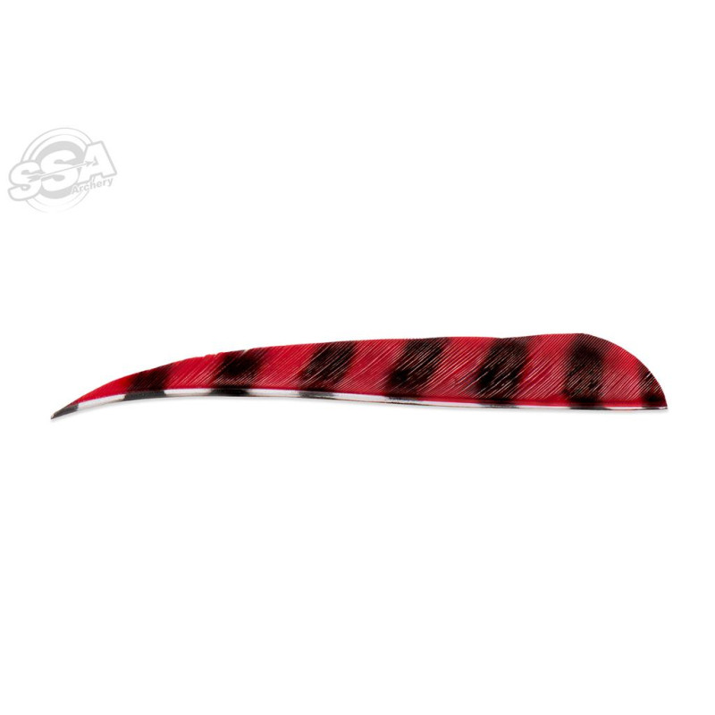 BUCKTRAIL FEATHERS ROUND 5" LW BARRED RED 100/PK