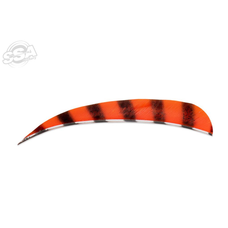 BUCKTRAIL FEATHERS ROUND 5" LW BARRED ORANGE 100/PK