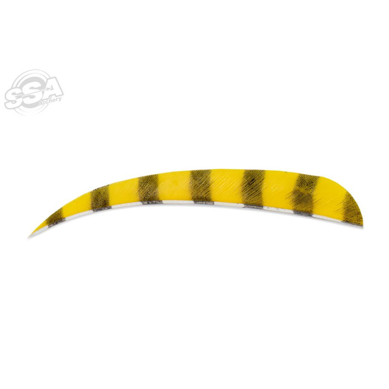 BUCKTRAIL FEATHERS ROUND 5" RW BARRED YELLOW 100/PK