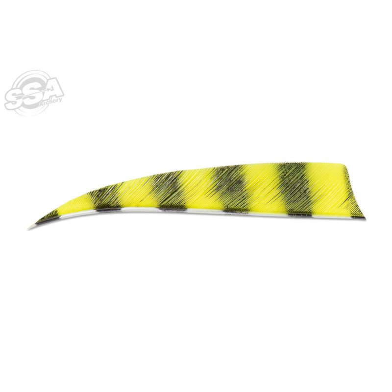 BUCKTRAIL FEATHERS SHIELD 4" LW BARRED NEON YELLOW 100/PK