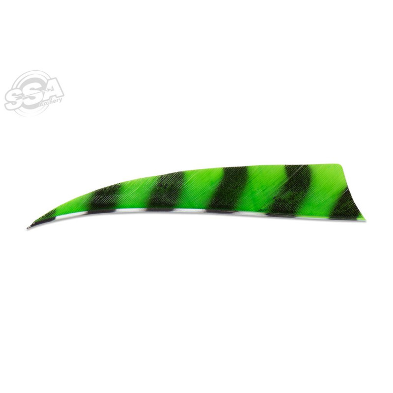 BUCKTRAIL FEATHERS SHIELD 4" RW BARRED LEMON 100/PK