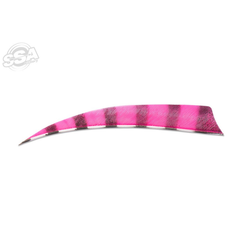 BUCKTRAIL FEATHERS SHIELD 5" LW BARRED PINK 100/PK