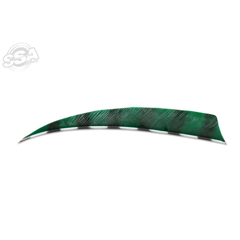 BUCKTRAIL FEATHERS SHIELD 5" RW BARRED GREEN 100/PK