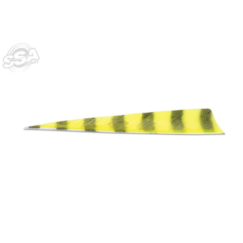 BUCKTRAIL FEATHERS SHIELD 5" RW BARRED NEON YELLOW 100/PK