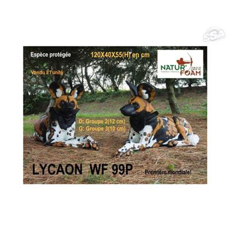 NATUR FOAM 3D TARGET LYCAON