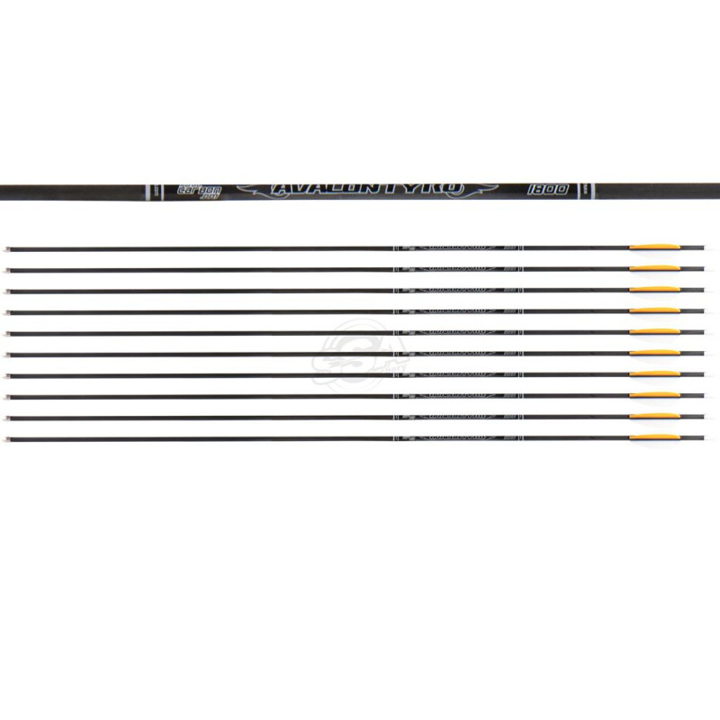 AVALON ARROWS CARBON TYRO 4.2 1800 27" length / 2"VANES WHITE-ORANGE /PIN NOCK /50GR POINT 36PK