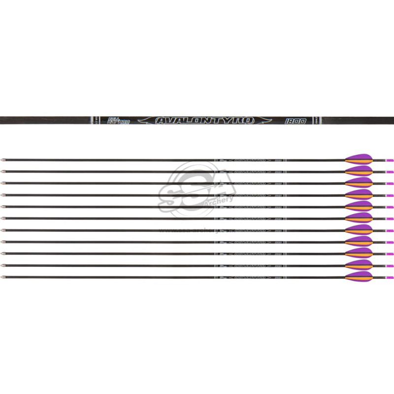 AVALON ARROWS CARBON TYRO 4.2 1800 27" length / 2"VANES PURPLE-ORANGE /PIN NOCK /50GR POINT 36PK
