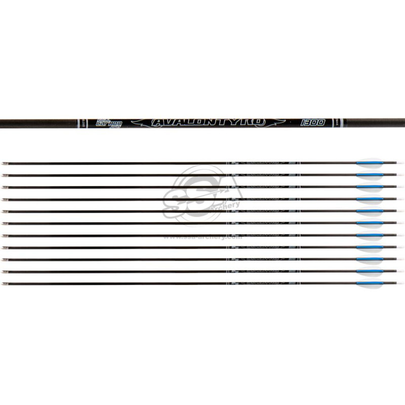 AVALON ARROWS CARBON TYRO 4.2 1300 28" length / 2"VANES WHITE-BLUE /PIN NOCK /70GR POINT 36PK
