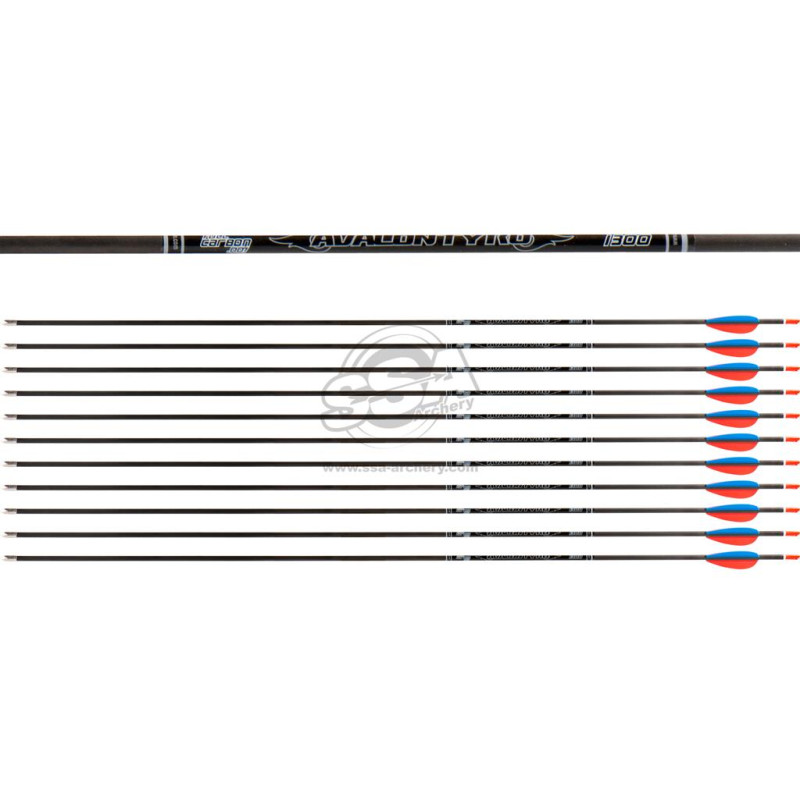 AVALON ARROWS CARBON TYRO 4.2 1300 28" length / 2"VANES RED-BLUE /PIN NOCK /70GR POINT 36PK