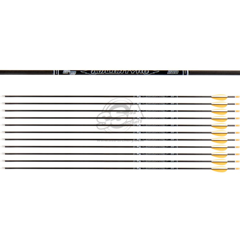 AVALON ARROWS CARBON TYRO 4.2 1100 28" length / 2"VANES ORANGE-WHITE /PIN NOCK /70GR POINT 36PK