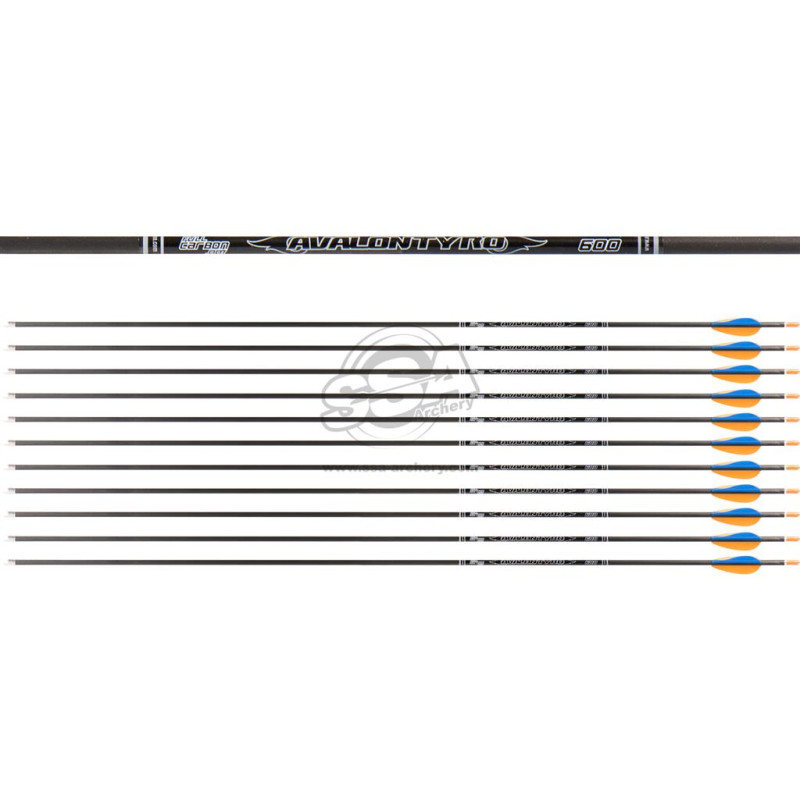 AVALON ARROWS CARBON TYRO 4.2 600 31" length / 2"VANES ORANGE-BLUE /PIN NOCK /90GR POINT 36PK