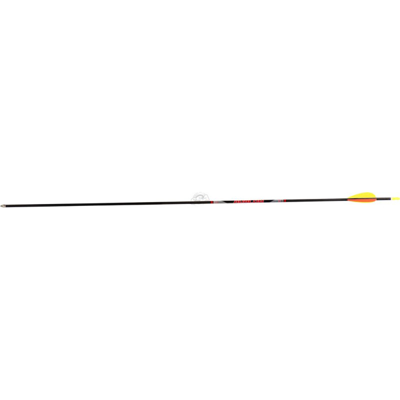 AVALON ARROWS CARBON TYRO 4.2 2000 26" length / 2"VANES YELLOW-RED /PIN NOCK /50GR POINT 200PK