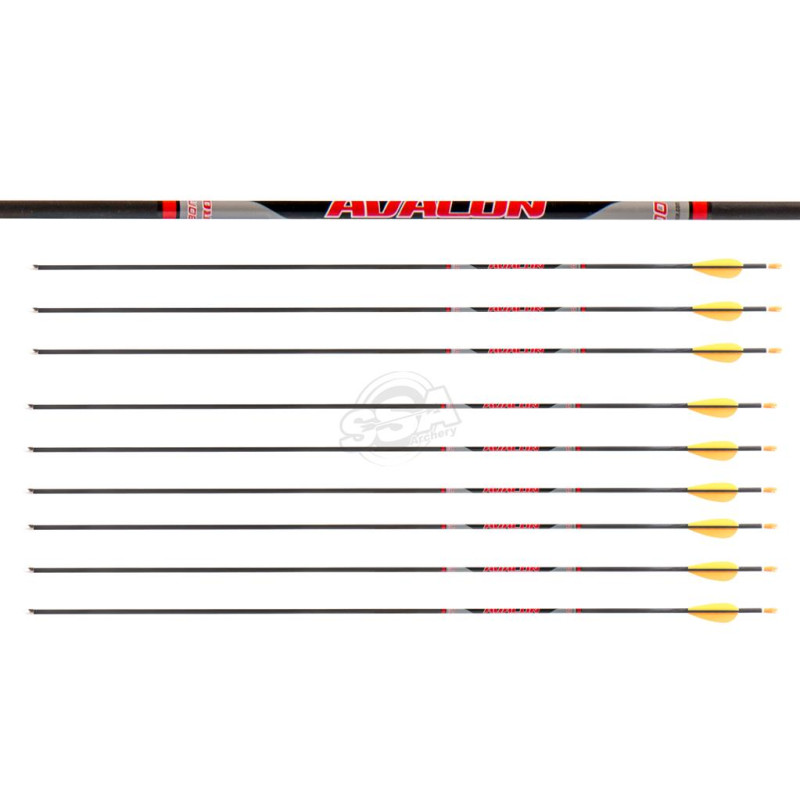 AVALON ARROWS CARBON TYRO 4.2 1500 28" length / 2"VANES ORANGE-YELLOW /PIN NOCK /50GR POINT 200PK
